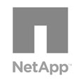 server-support-for-netapp_2020